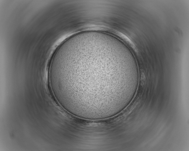 X0000112981419200909171329