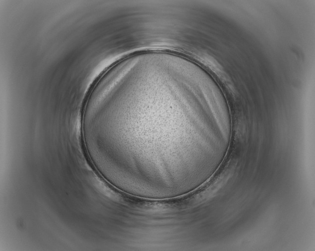 X0000112981420200909171329