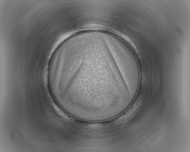 X0000112981421200909171329