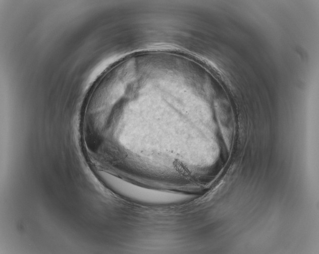 X0000112981422200909171329