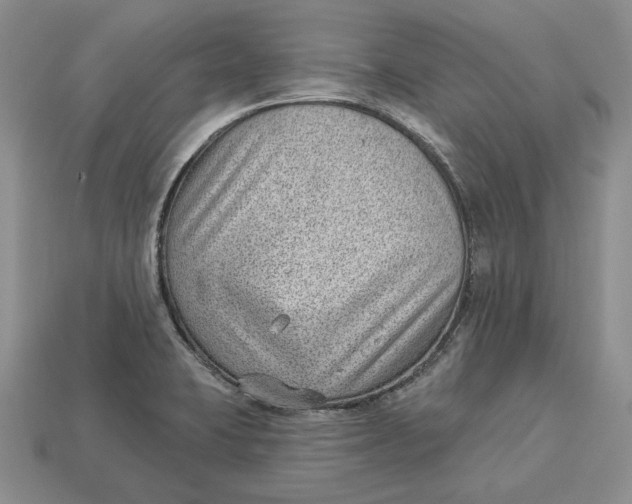 X0000112981423200909171329