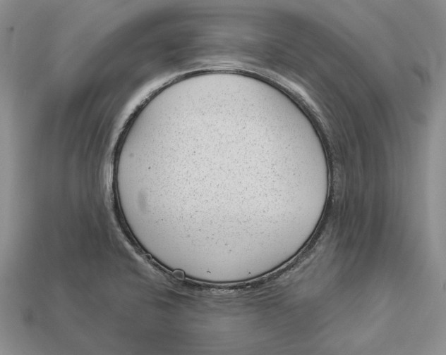 X0000112981424200909171329