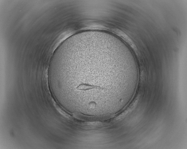 X0000112981425200909171329