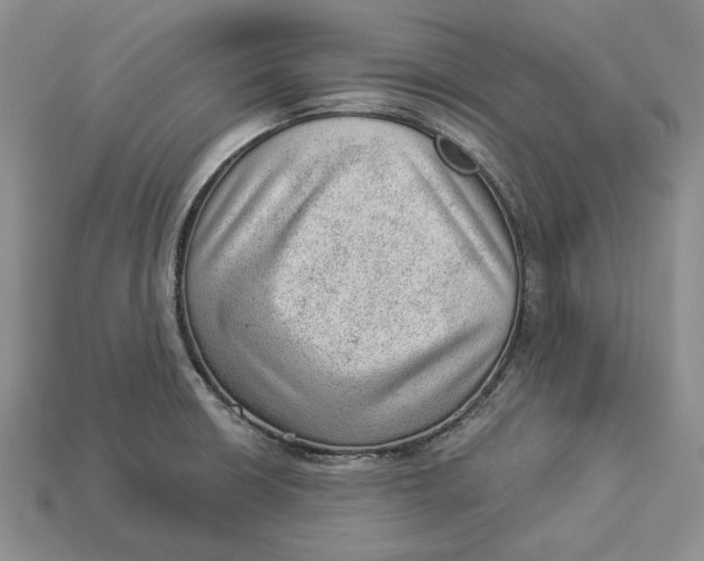 X0000112981426200909171329