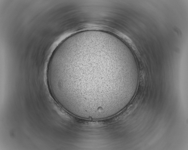 X0000112981427200909171329