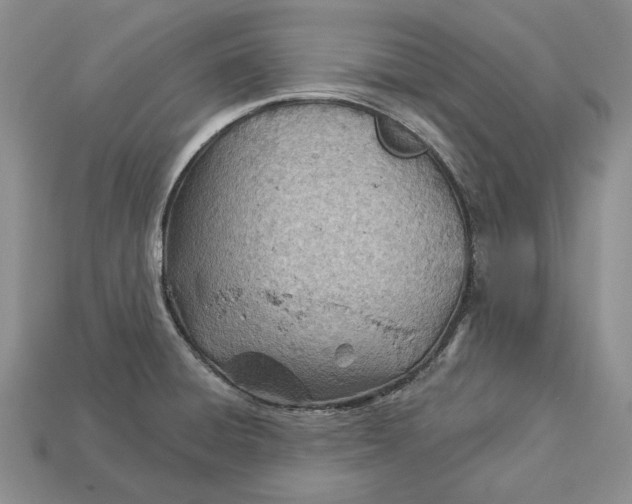 X0000112981428200909171329