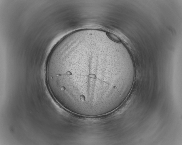 X0000112981430200909171329