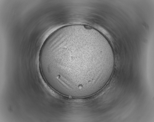 X0000112981431200909171329