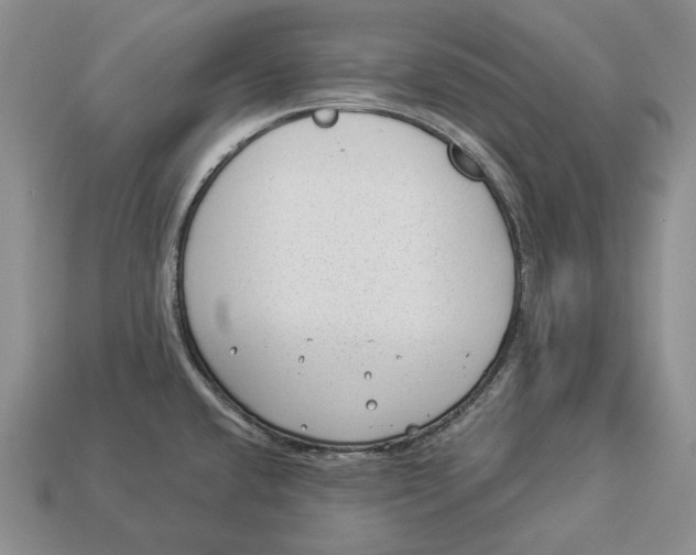 X0000112981432200909171329