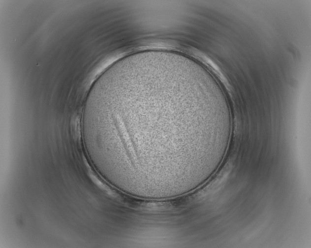 X0000112981433200909171329