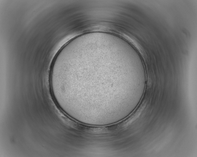 X0000112981434200909171329