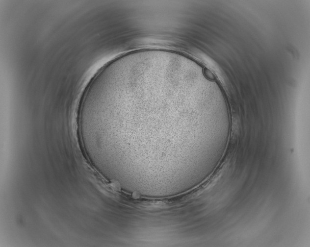 X0000112981435200909171329