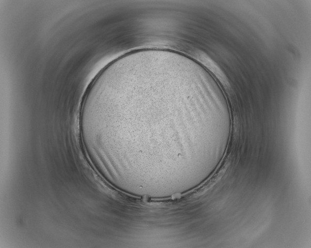 X0000112981436200909171329