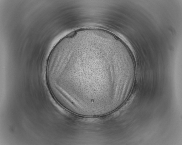 X0000112981437200909171329