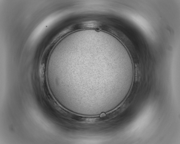 X0000112981438200909171329