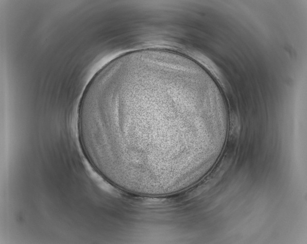 X0000112981439200909171329