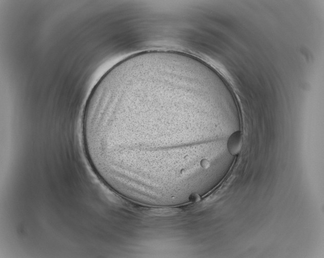 X0000112981440200909171329