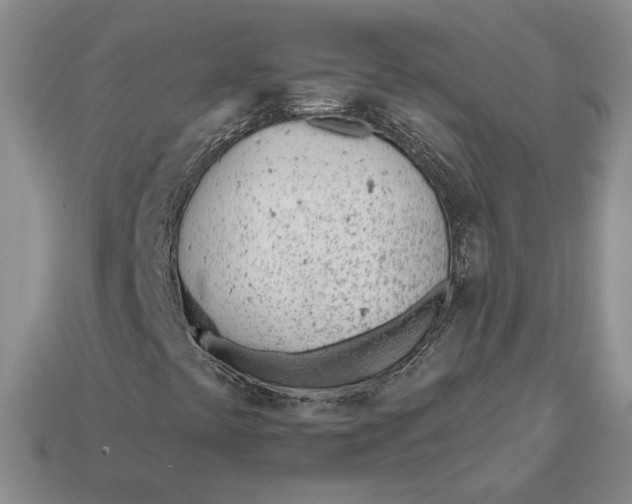 X0000112981441200909171329