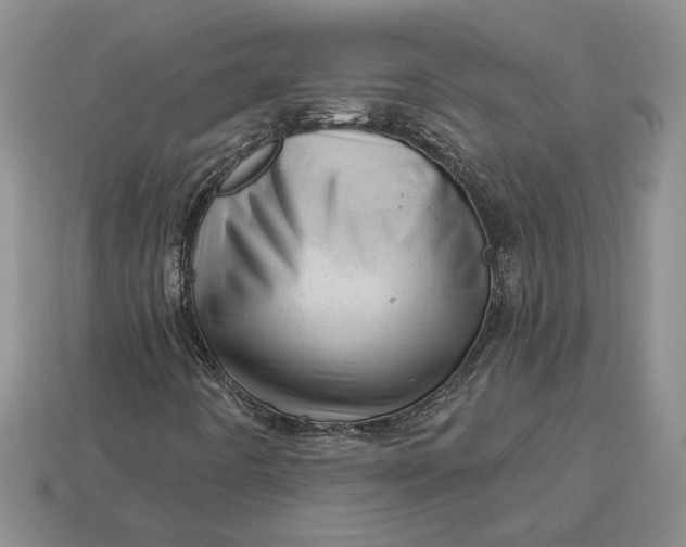 X0000112981442200909171329