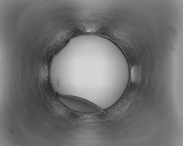 X0000112981443200909171329