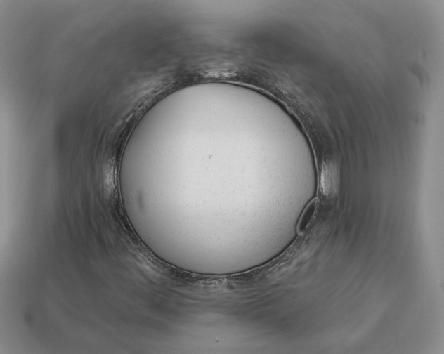 X0000112981444200909171329