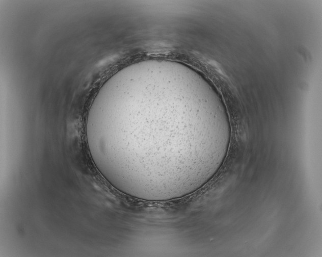 X0000112981445200909171329