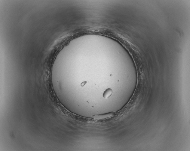 X0000112981447200909171329