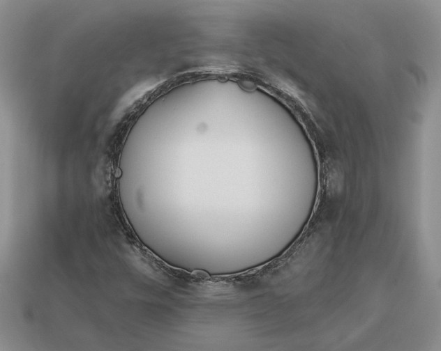 X0000112981448200909171329