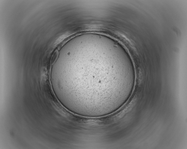 X0000112981449200909171329