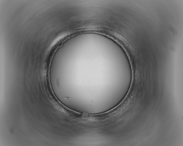 X0000112981450200909171329