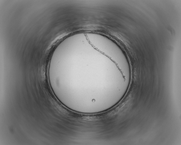 X0000112981451200909171329