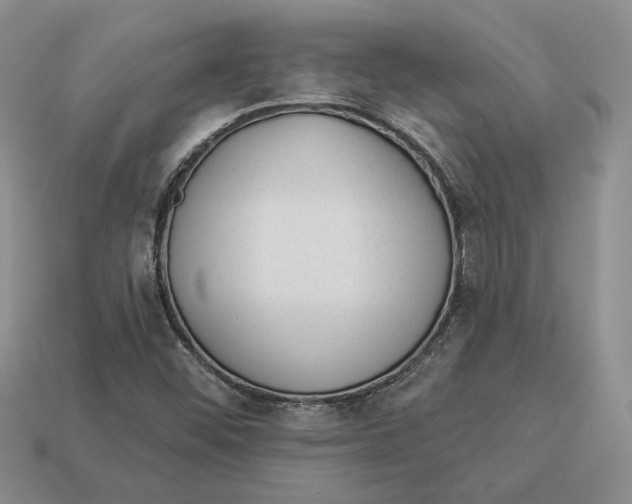 X0000112981452200909171329