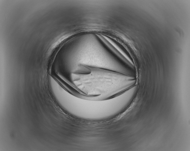 X0000112981453200909171329