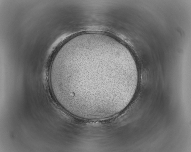 X0000112981454200909171329