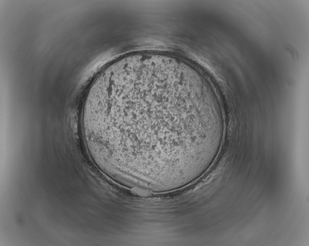 X0000112981455200909171329