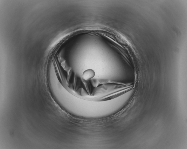 X0000112981456200909171329