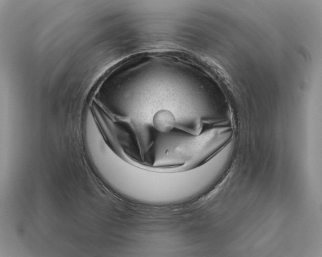 X0000112981457200909171329