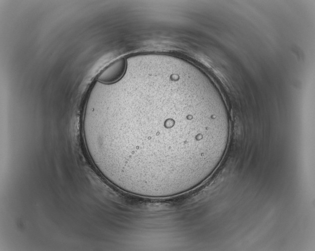 X0000112981459200909171329