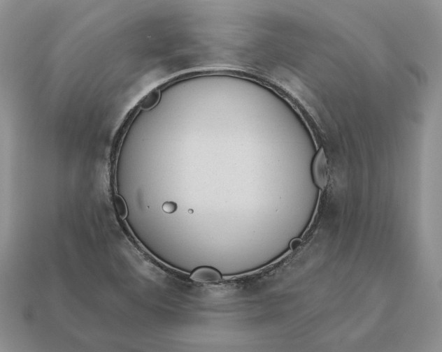 X0000112981460200909171329