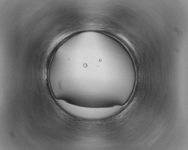 X0000112981461200909171329