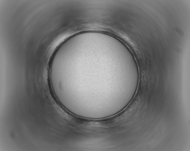 X0000112981463200909171329