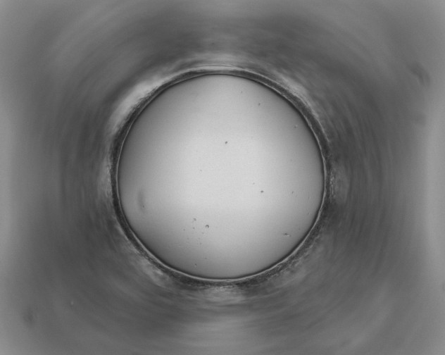 X0000112981464200909171329