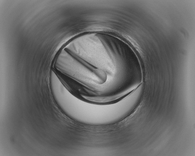 X0000112981465200909171329