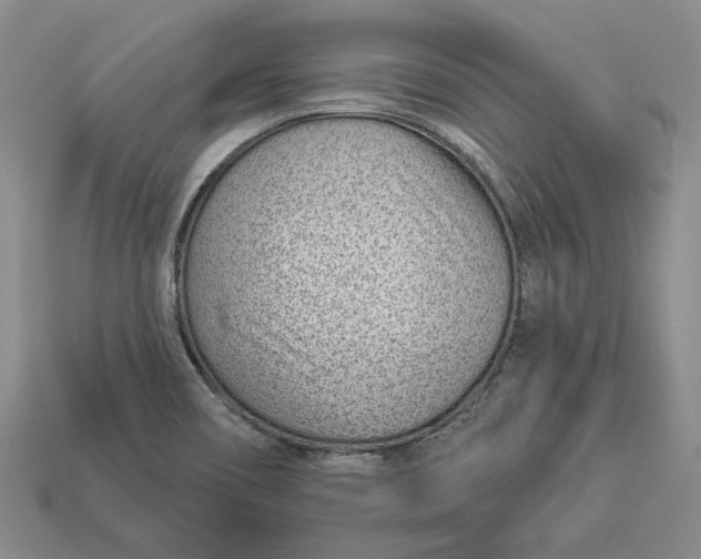 X0000112981466200909171329