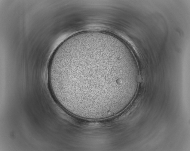 X0000112981467200909171329