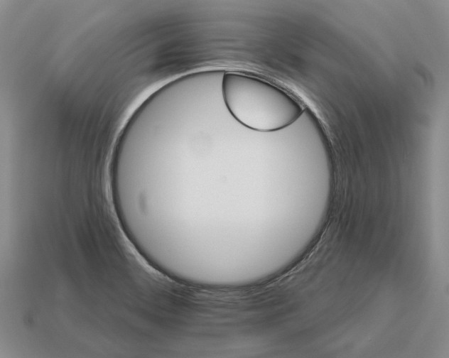 X0000112981468200909171329