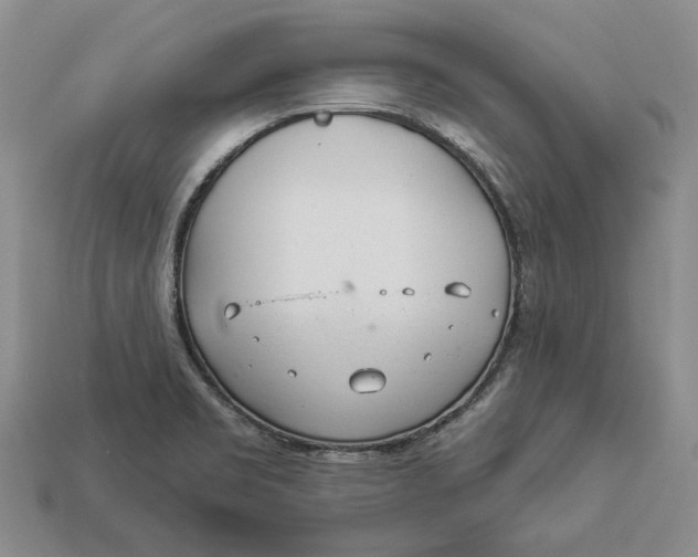 X0000112981469200909171328