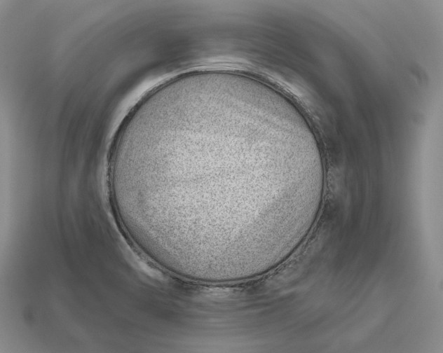 X0000112981470200909171328