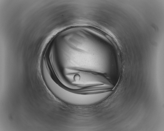 X0000112981472200909171328