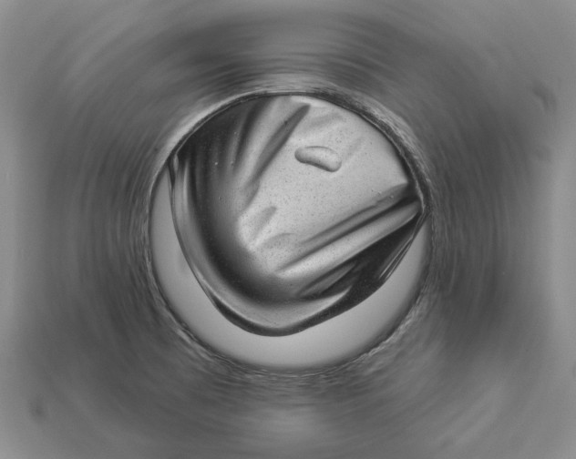 X0000112981473200909171328